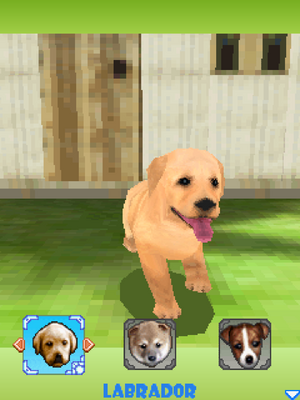 Dogz 3D Kennel J2ME.png